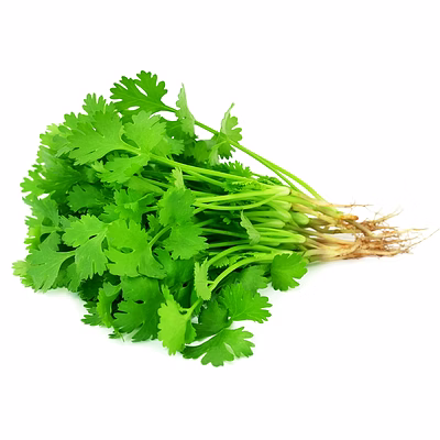 coriander