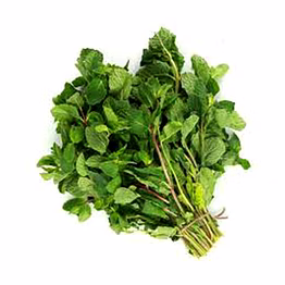 mint (pudina)