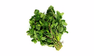 Mint (Pudina)