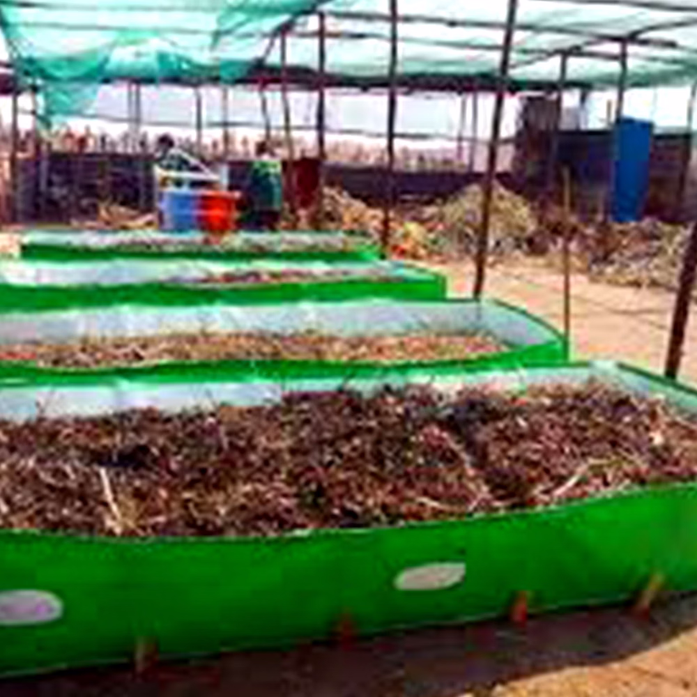 Vermicompost image 3