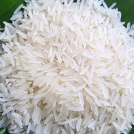 rice 1121