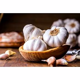 garlic