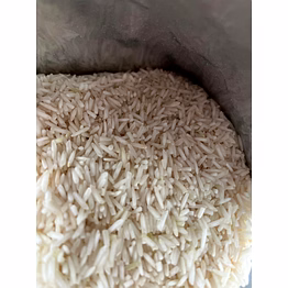rice 1718