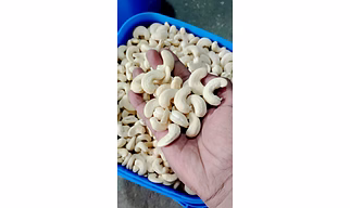 CASHEWNUTS