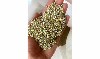 MILLETS