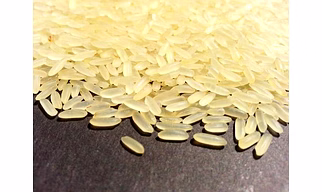 IR64 rice