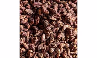 Black Cardamom (Elaichi)