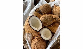 Semi Husked Coconut