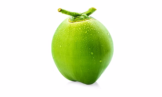 Coconut - Green
