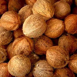 dehusked coconut - fresh