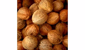 Dehusked Coconut - Fresh