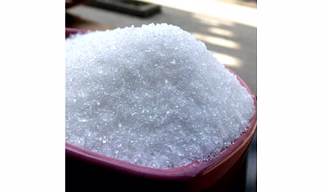 Sugar