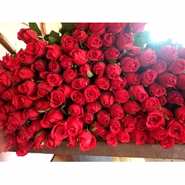 roses