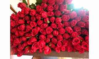 roses