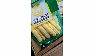Fresh Baby corn