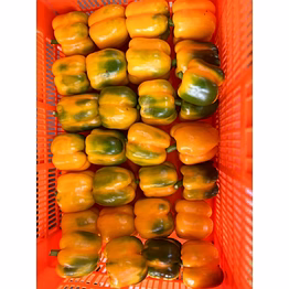 red and yellow capsicum(bell peppers)