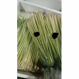 lemongrass fresh