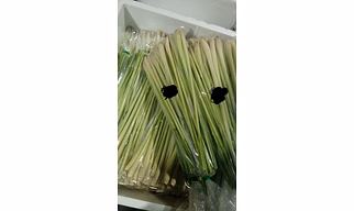 Lemongrass fresh