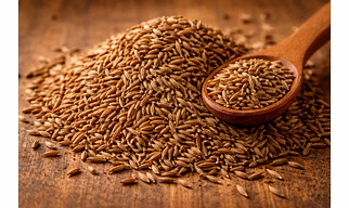 ORGANIC CUMIN SEED