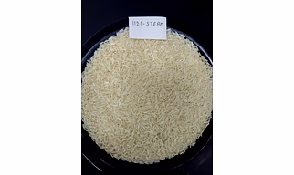 Basmati & Non Basmati Rice