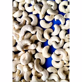 cashew nuts – (anacardium occidentale)