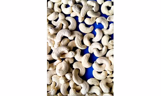 Cashew Nuts – (Anacardium occidentale)