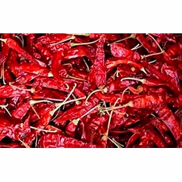 dry red chilli (capsicum annuum)