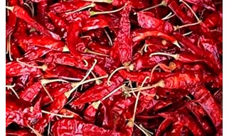 Dry Red Chilli (Capsicum annuum)