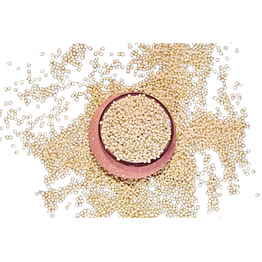 sorghum