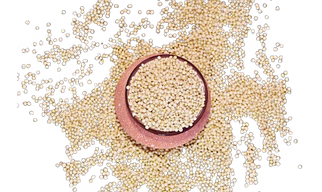 sorghum