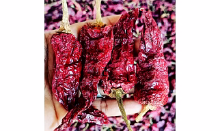 Byadgi Dabbi Kashmiri