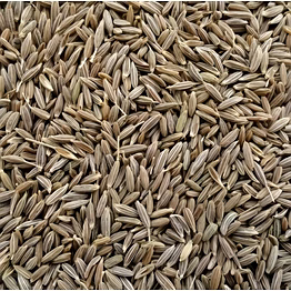 cumin seeds