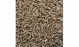 Cumin Seeds