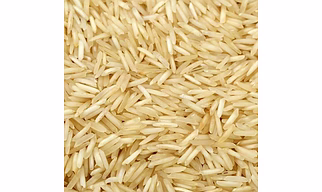Rice