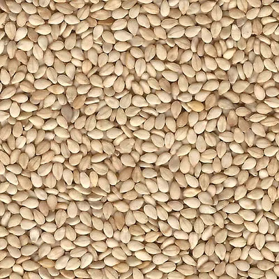 sesame seeds including hulled white, natural unhulled and black sesame seeds