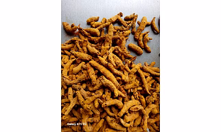 TURMERIC FINGER