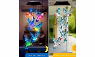 Hummingbird Solar Light