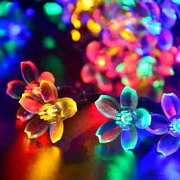 blossombeam string light