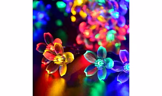 BlossomBeam String Light