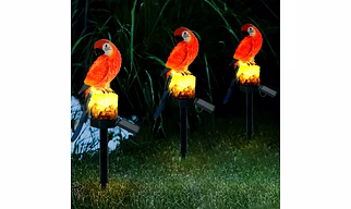 ParrotGlow Path Light
