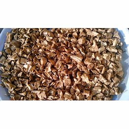 chicory root