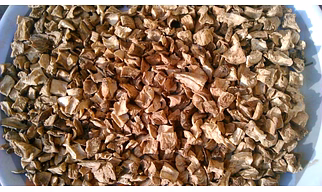 Chicory Root