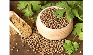 coriander seeds