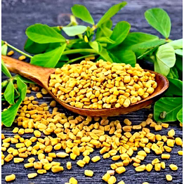 fenugreek seeds