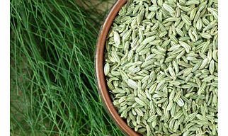 Funnel seeds