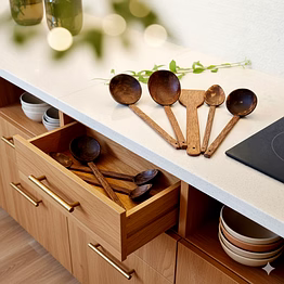 coconut shell ladle set of 4