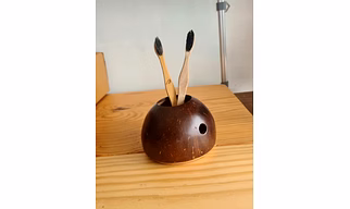 Coconut shell Brush / Pen Holder