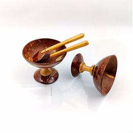 coconut shell ice cream cup