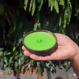 coconut shell diya