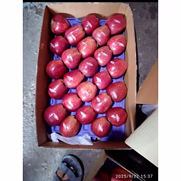 apple premium a1 grade